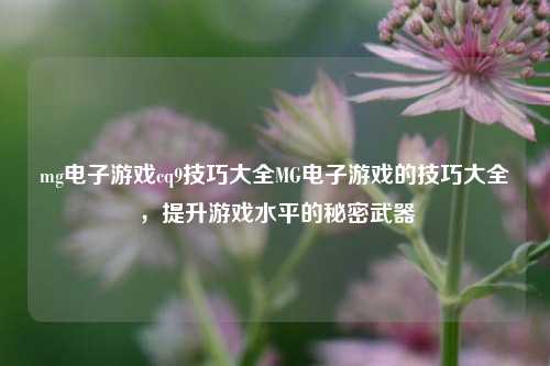 mg电子游戏cq9技巧大全MG电子游戏的技巧大全，提升游戏水平的秘密武器