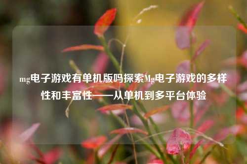 mg电子游戏有单机版吗探索Mg电子游戏的多样性和丰富性——从单机到多平台体验