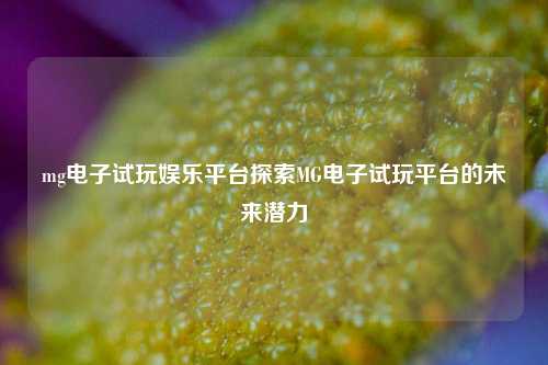 mg电子试玩娱乐平台探索MG电子试玩平台的未来潜力