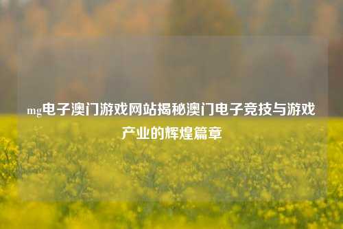 mg电子澳门游戏网站揭秘澳门电子竞技与游戏产业的辉煌篇章