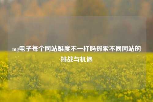 mg电子每个网站难度不一样吗探索不同网站的挑战与机遇