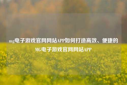 mg电子游戏官网网站APP如何打造高效、便捷的MG电子游戏官网网站APP