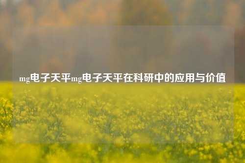 mg电子天平mg电子天平在科研中的应用与价值