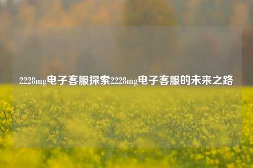 2228mg电子客服探索2228mg电子客服的未来之路