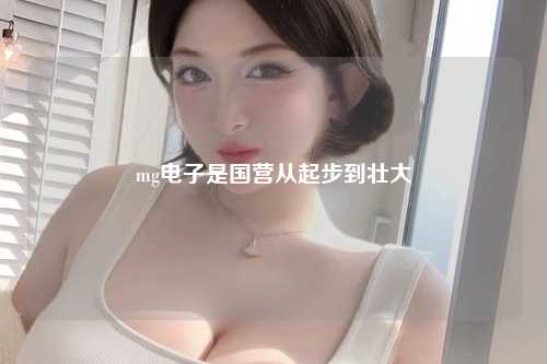 mg电子是国营从起步到壮大
