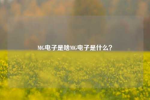 MG电子是啥MG电子是什么？