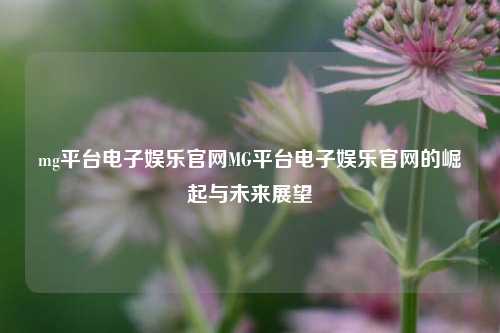mg平台电子娱乐官网MG平台电子娱乐官网的崛起与未来展望