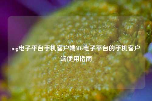 mg电子平台手机客户端MG电子平台的手机客户端使用指南