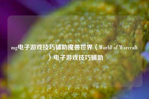 mg电子游戏技巧辅助魔兽世界（World of Warcraft）电子游戏技巧辅助