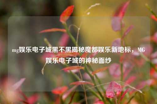 mg娱乐电子城黑不黑揭秘魔都娱乐新地标，MG娱乐电子城的神秘面纱