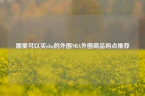 哪里可以买nba的外围NBA外围商品购点推荐