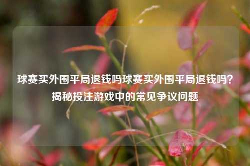 球赛买外围平局退钱吗球赛买外围平局退钱吗？揭秘投注游戏中的常见争议问题