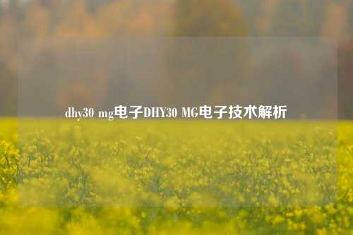 dhy30 mg电子DHY30 MG电子技术解析