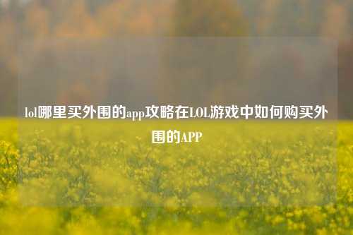 lol哪里买外围的app攻略在LOL游戏中如何购买外围的APP