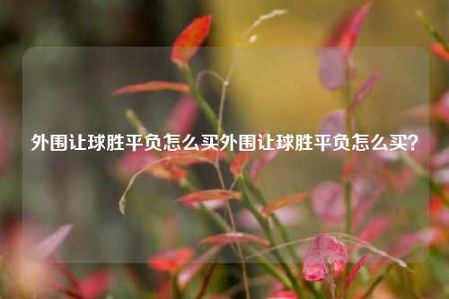 外围让球胜平负怎么买外围让球胜平负怎么买？