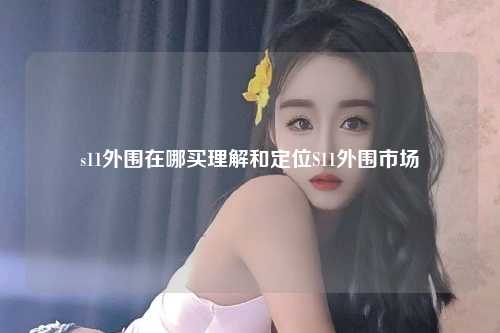 s11外围在哪买理解和定位S11外围市场