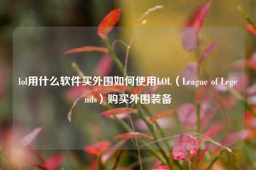 lol用什么软件买外围如何使用LOL（League of Legends）购买外围装备