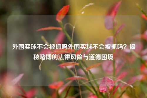 外围买球不会被抓吗外围买球不会被抓吗？揭秘赌博的法律风险与道德困境