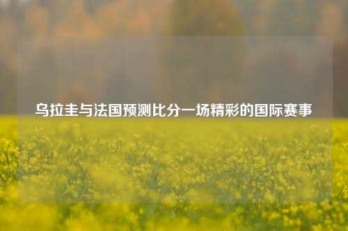 乌拉圭与法国预测比分一场精彩的国际赛事