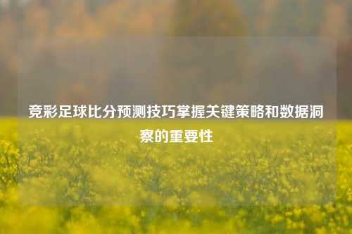 竞彩足球比分预测技巧掌握关键策略和数据洞察的重要性