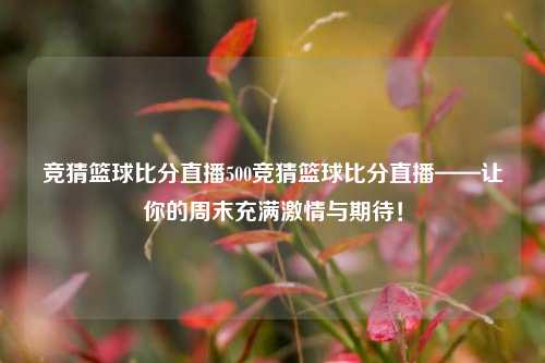 竞猜篮球比分直播500竞猜篮球比分直播——让你的周末充满激情与期待！