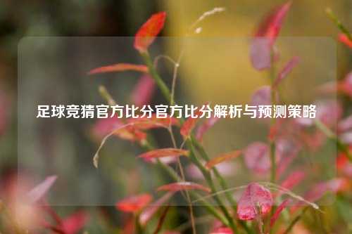 足球竞猜官方比分官方比分解析与预测策略