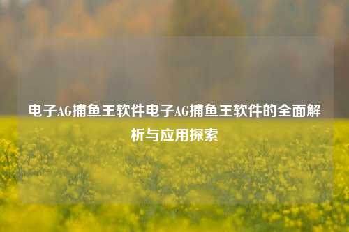 电子AG捕鱼王软件电子AG捕鱼王软件的全面解析与应用探索