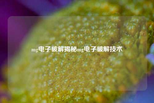 mg电子破解揭秘mg电子破解技术