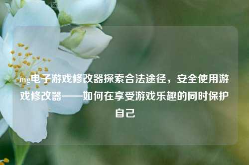 mg电子游戏修改器探索合法途径，安全使用游戏修改器——如何在享受游戏乐趣的同时保护自己