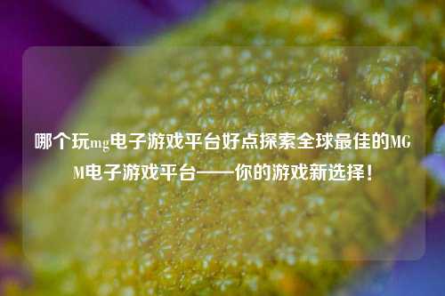 哪个玩mg电子游戏平台好点探索全球最佳的MGM电子游戏平台——你的游戏新选择！