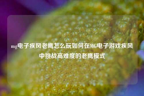 mg电子疾风老鹰怎么玩如何在MG电子游戏疾风中挑战高难度的老鹰模式
