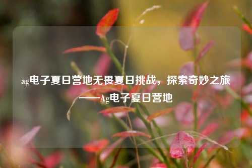 ag电子夏日营地无畏夏日挑战，探索奇妙之旅——Ag电子夏日营地