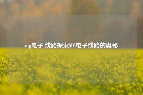 mg电子 线路探索MG电子线路的奥秘