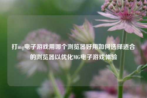 打mg电子游戏用哪个浏览器好用如何选择适合的浏览器以优化MG电子游戏体验