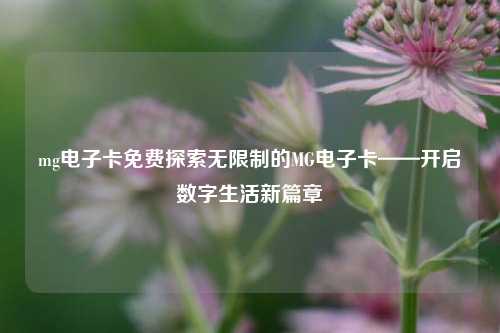 mg电子卡免费探索无限制的MG电子卡——开启数字生活新篇章