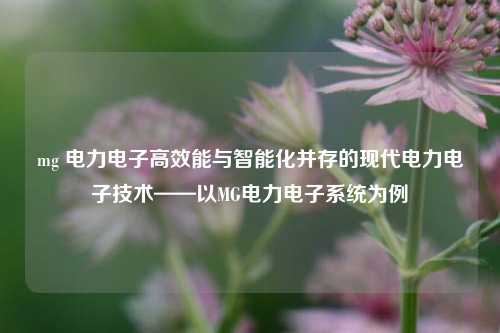 mg 电力电子高效能与智能化并存的现代电力电子技术——以MG电力电子系统为例
