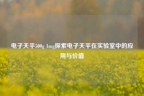 电子天平500g 1mg探索电子天平在实验室中的应用与价值