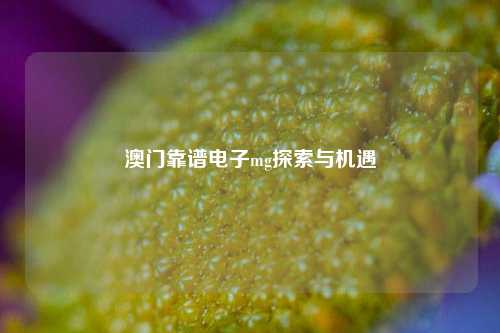 澳门靠谱电子mg探索与机遇