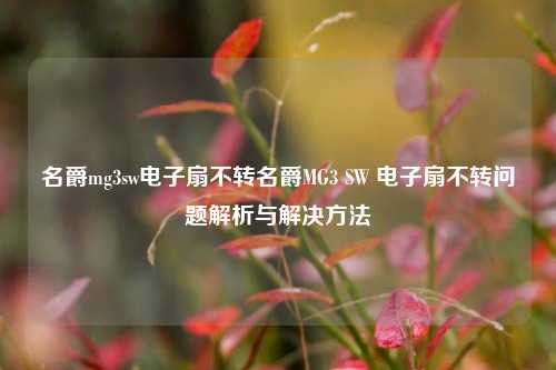 名爵mg3sw电子扇不转名爵MG3 SW 电子扇不转问题解析与解决方法