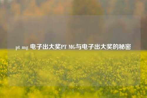 pt mg 电子出大奖PT MG与电子出大奖的秘密