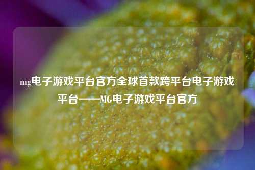 mg电子游戏平台官方全球首款跨平台电子游戏平台——MG电子游戏平台官方