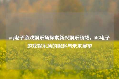mg电子游戏娱乐场探索新兴娱乐领域，MG电子游戏娱乐场的崛起与未来展望