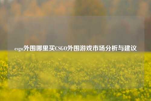 csgo外围哪里买CSGO外围游戏市场分析与建议