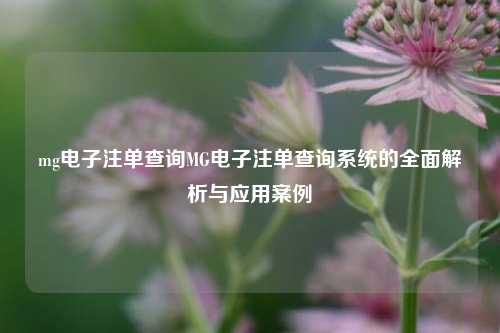 mg电子注单查询MG电子注单查询系统的全面解析与应用案例