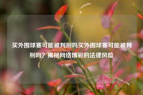 买外围球赛可能被判刑吗买外围球赛可能被判刑吗？揭秘网络博彩的法律风险