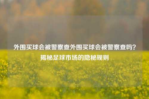 外围买球会被警察查外围买球会被警察查吗？揭秘足球市场的隐秘规则