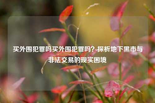 买外围犯罪吗买外围犯罪吗？探析地下黑市与非法交易的现实困境