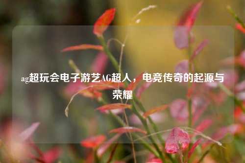 ag超玩会电子游艺AG超人，电竞传奇的起源与荣耀