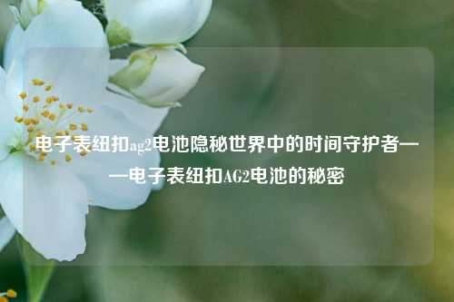 电子表纽扣ag2电池隐秘世界中的时间守护者——电子表纽扣AG2电池的秘密
