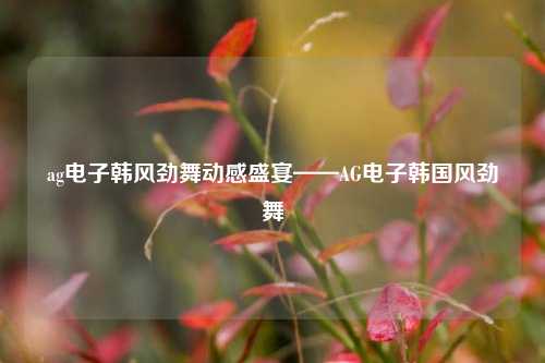ag电子韩风劲舞动感盛宴——AG电子韩国风劲舞